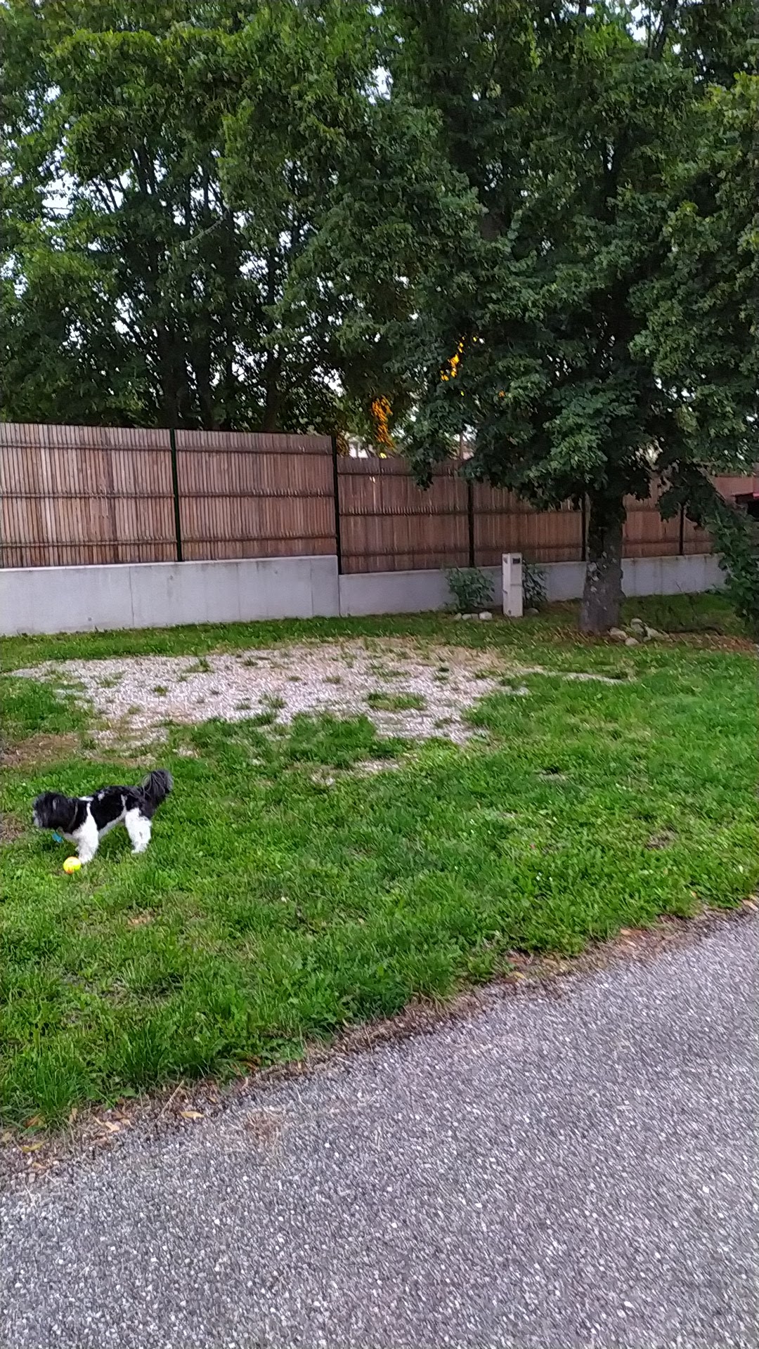 Photo n° 4 de l'avis de Sylvie.o fait le 17/07/2021 à 19:29