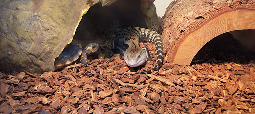 Pet Supply Store «Pet Station Jackson», reviews and photos, 1617 E Michigan Ave, Jackson, MI 49202, USA