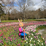 Photo n° 2 de l'avis de Gaelle.u fait le 31/03/2024 à 10:25 pour Parc du Château de Cheverny à Cheverny