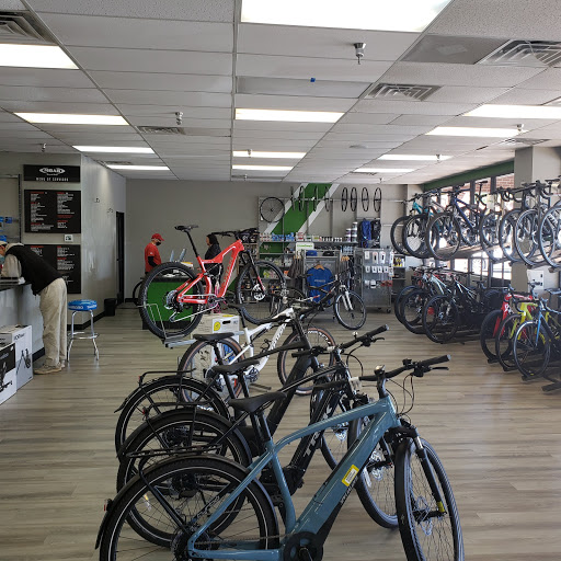 Moab Bicycle Shop