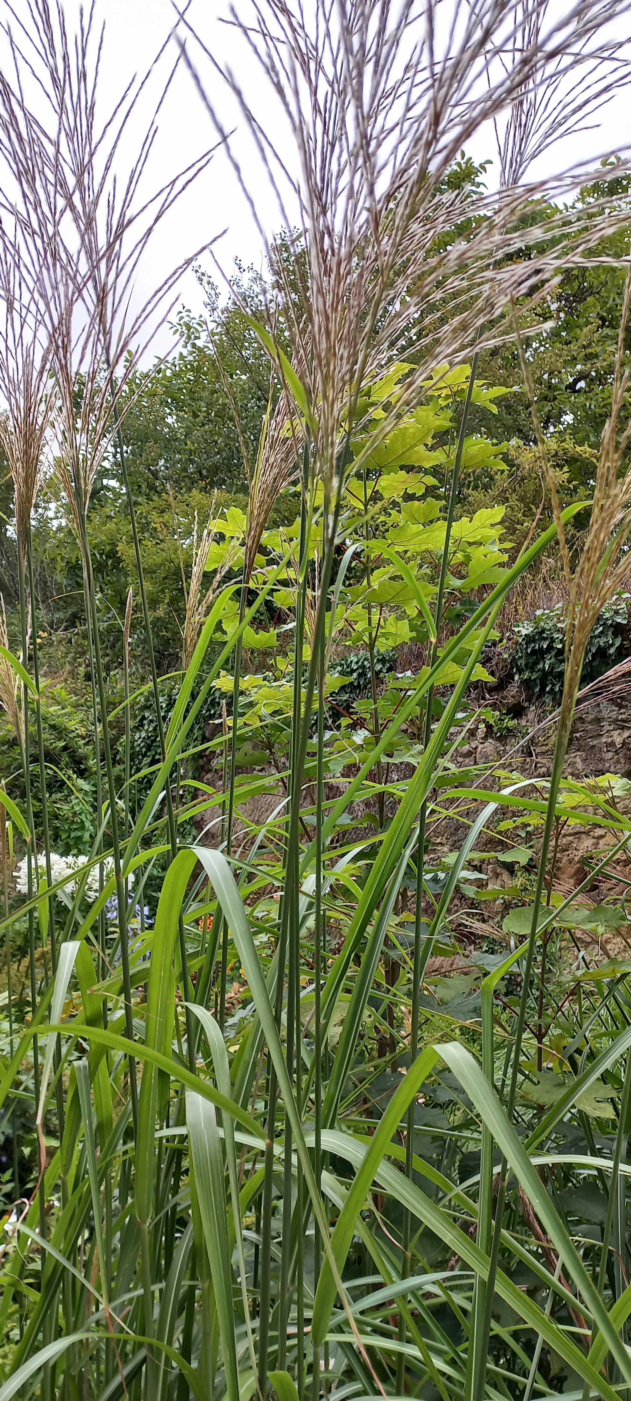 Photo n° 5 de l'avis de Mille.l fait le 31/07/2023 à 16:42