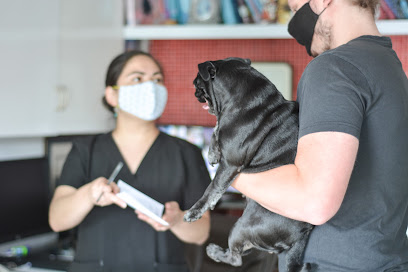 Clínica Veterinaria Dr. Altamirano Vet&Dog