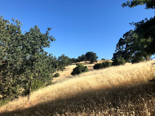 Ohlone Trail Parking (Lime Ridge)