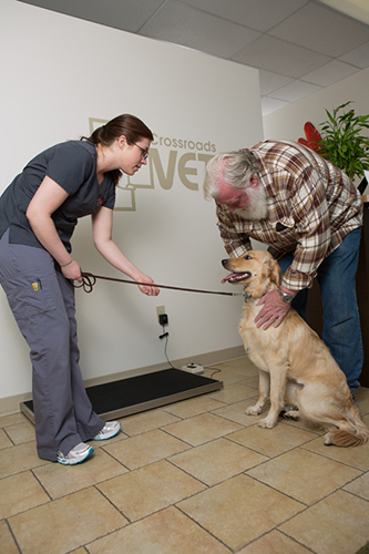 Crossroads Vet image