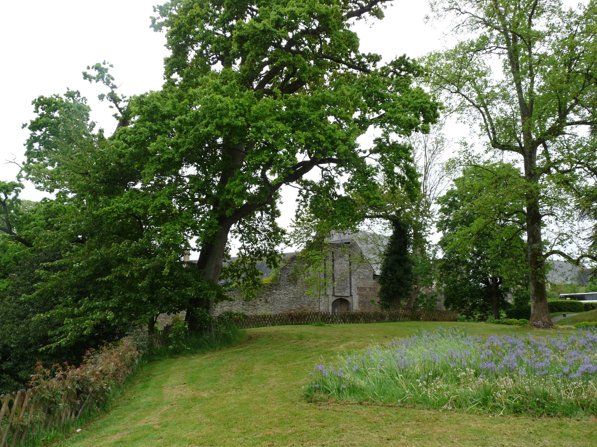 Photo n° 14 de l'avis de Guillaume.i fait le 16/05/2019 à 19:52