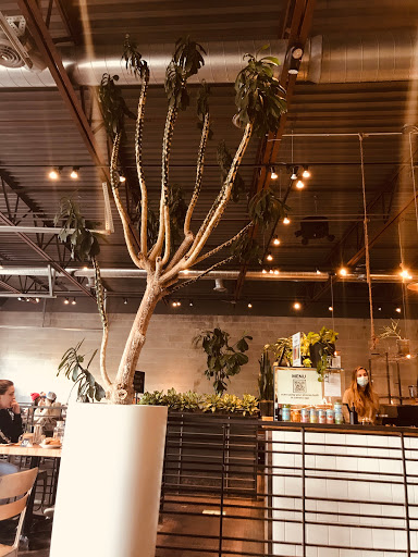 Coffee Shop «Commonwealth Cafe», reviews and photos, 300 Hamilton Row, Birmingham, MI 48009, USA