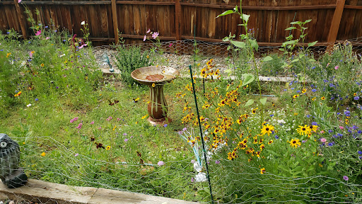 Florist «Island Orchids», reviews and photos, 2204 W Colorado Ave, Colorado Springs, CO 80904, USA