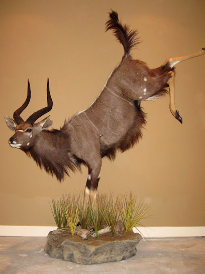 Select Taxidermy Products