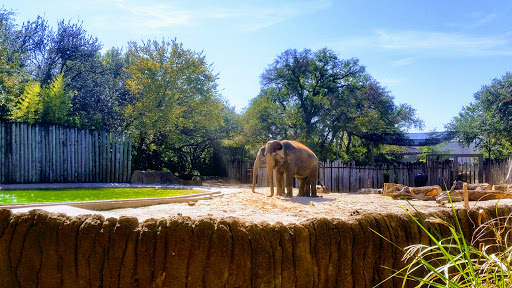 Fort Worth Zoo image 5
