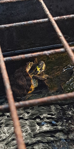 Pet Supply Store «Petco Animal Supplies», reviews and photos, 1753 St Lucie W Blvd, Port St Lucie, FL 34986, USA