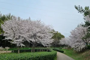 태화강철새공원 image