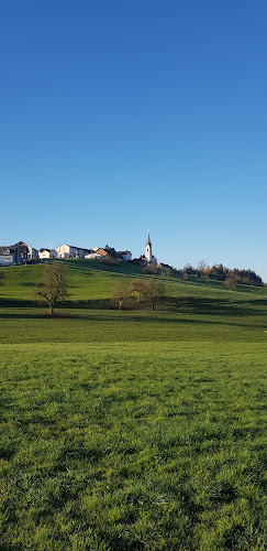 Kirche St. Pelagiberg - Arbon