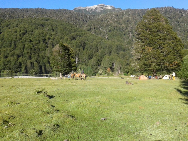 Opiniones de Camping Lago Algormaz en Puerto Montt - Camping