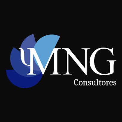 MNG CONSULTORES