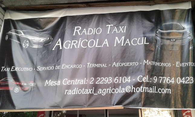 Opiniones de Radio Taxi Agricola en Macul - Servicio de taxis