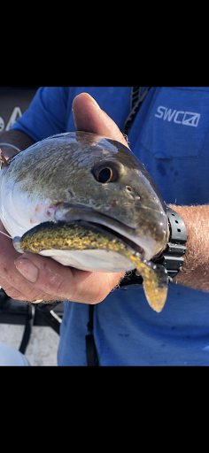 Fishing Charter «Tampa Fishing Charters with Capt Tim Whitfield», reviews and photos, 5200 W Tyson Ave, Tampa, FL 33611, USA