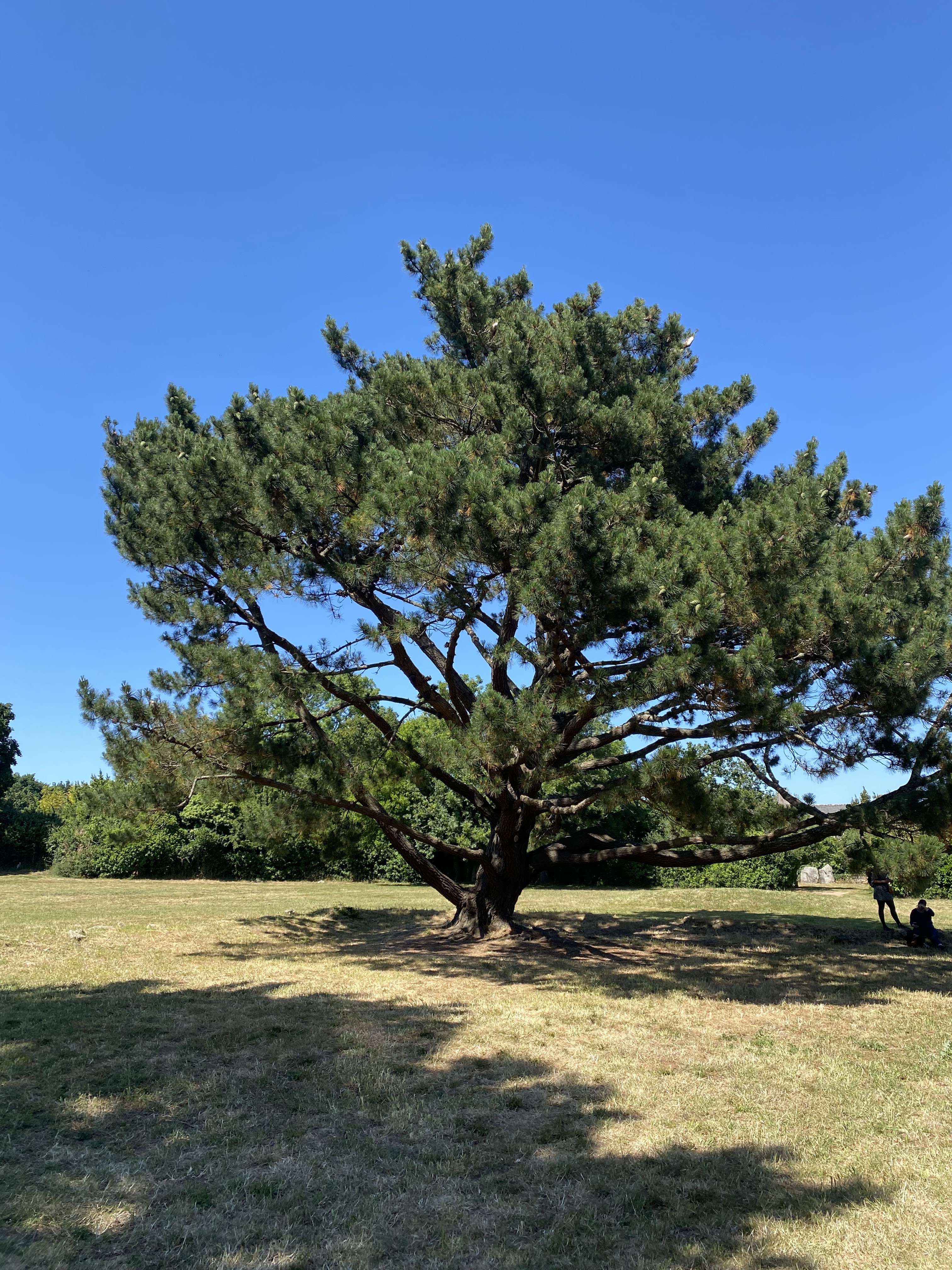 Photo n° 1 de l'avis de jérôme.i fait le 29/05/2022 à 15:19