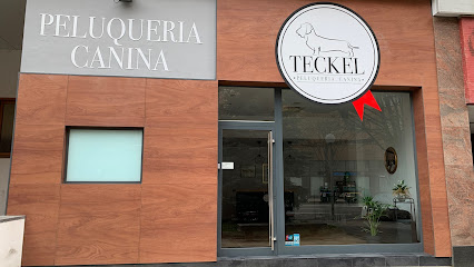 Peluquería Canina Teckel - Servicios para mascota en Pamplona