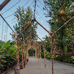 Photo n°2 de l'avis de Virginie.i fait le 23/08/2023 à 14:47 sur le  Bamboo & Coconut - by Lago dos Cisnes - ESPAÇOS DE LAZER à Braga