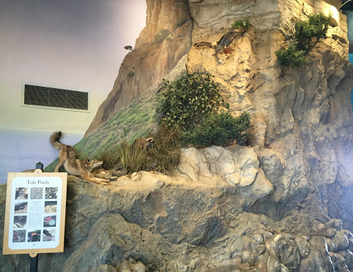 Natural History Museum «Point Vicente Interpretive Center», reviews and photos, 31501 Palos Verdes Dr W, Rancho Palos Verdes, CA 90275, USA