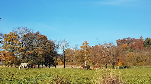 Notre Dame des Vignes à Ballaison