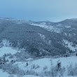 Saripinar Dinçer Alabalık Tesisleri