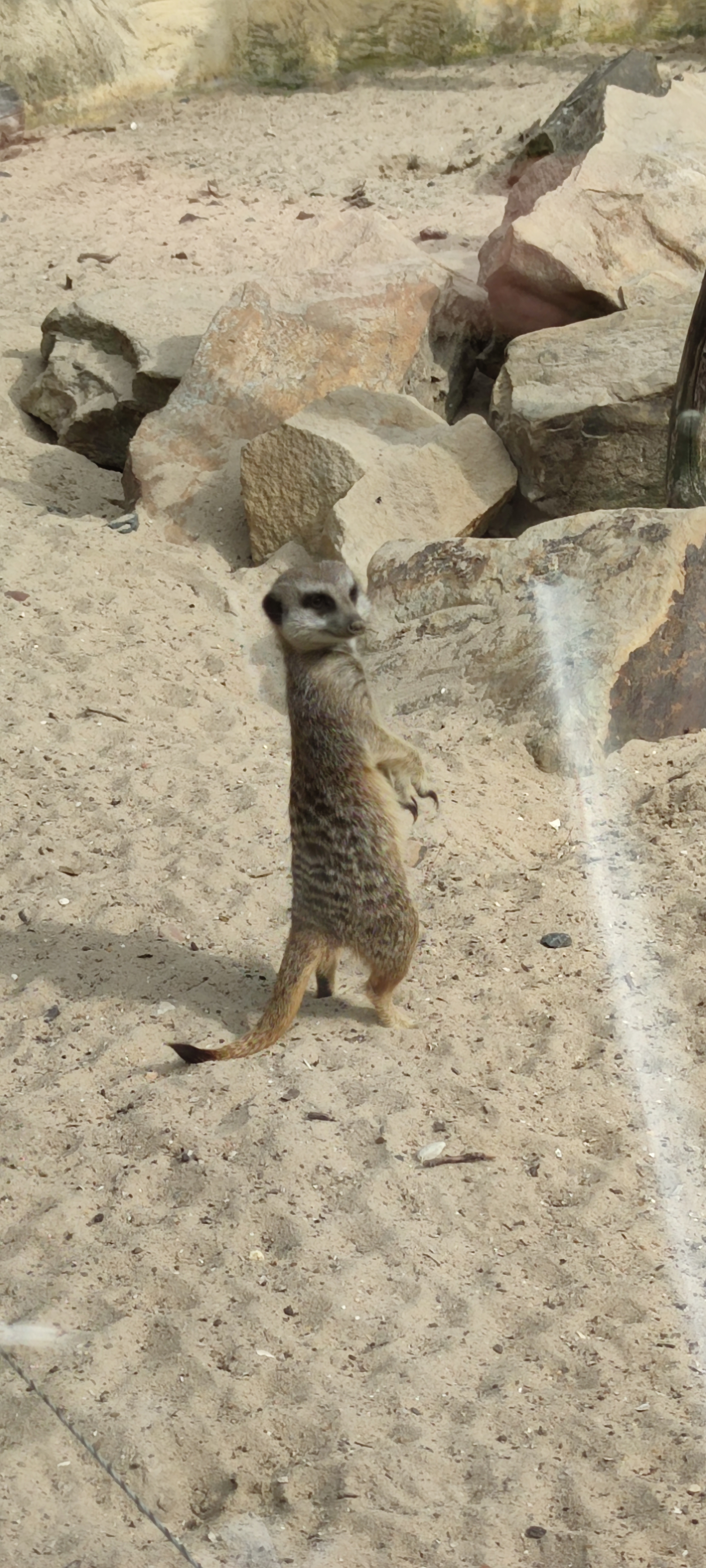 Photo n° 7 de l'avis de Magalie.o fait le 24/07/2021 à 15:03