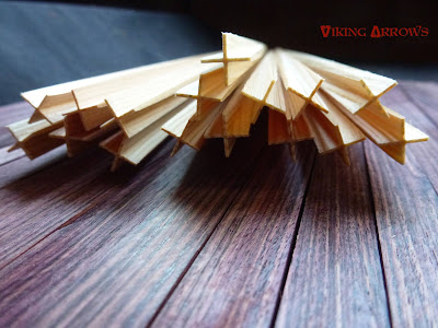 Viking Arrows à Pringy