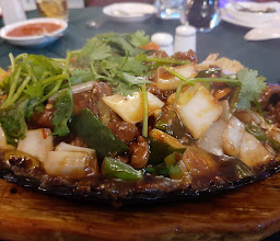 China Plate photo