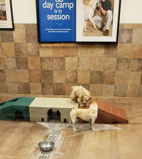 Pet Supply Store «PetSmart», reviews and photos, 4120 E 4th St, Ontario, CA 91764, USA