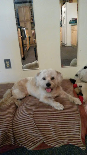 Pet Supply Store «EarthWise Pet Supply & Grooming», reviews and photos, 2326 Pine Ridge Rd, Naples, FL 34109, USA