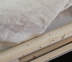 Specialist Hospital Dr. Belisario Dominguez photo