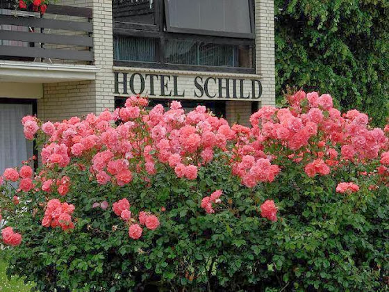 Photos du propriétaire hôtels Hotel Schild 26969 Butjadingen