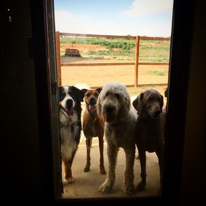 The Dog Ranch