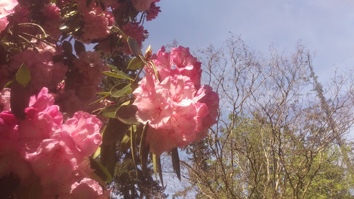 Golf Course «Eastmoreland Golf Course», reviews and photos, 2425 SE Bybee Blvd, Portland, OR 97202, USA