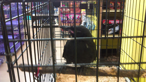 Pet Store «A to Z Pets», reviews and photos, 16010 SE Division St, Portland, OR 97236, USA