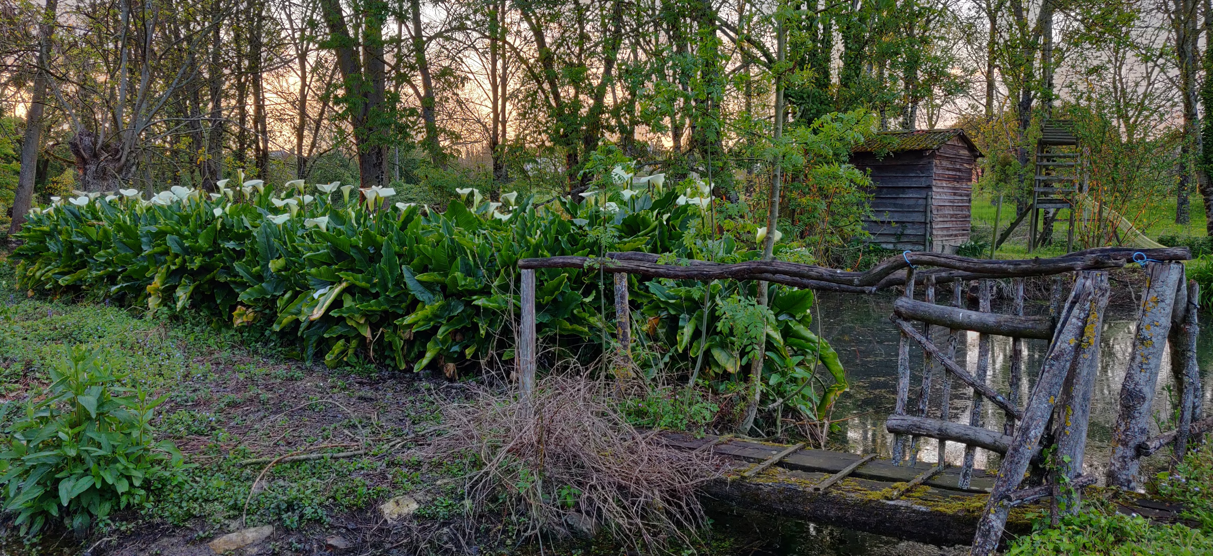 Photo n° 2 de l'avis de Vincent.r fait le 22/04/2019 à 17:35