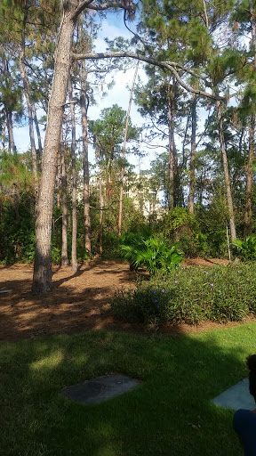 Golf Course «Tranquilo Golf Club at Four Seasons Resort Orlando», reviews and photos, 3451 Golf View Dr, Lake Buena Vista, FL 32830, USA