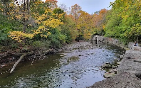 Etobicoke Valley Park image