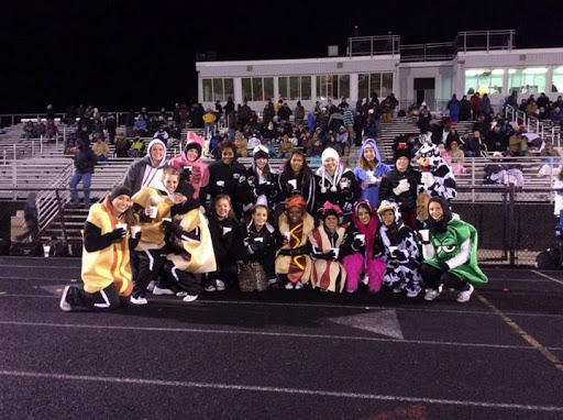 Pet Supply Store «Decadent Dogs», reviews and photos, 206 S River Ave, Holland, MI 49423, USA