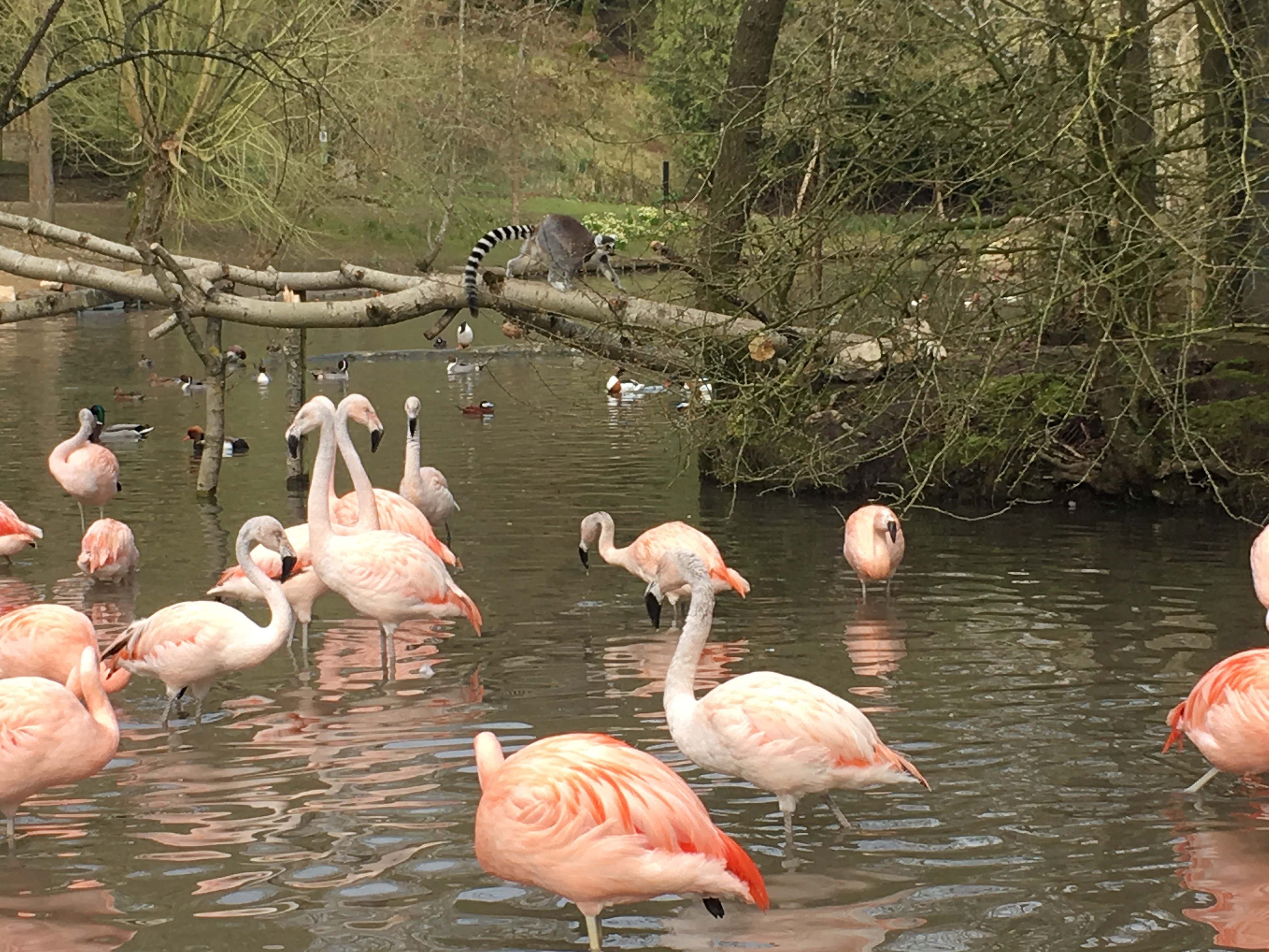 Photo n° 9 de l'avis de Julien.u fait le 23/06/2018 à 00:40