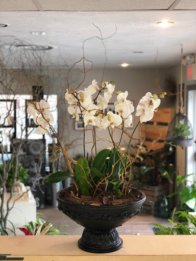 Florist «Crescent Floral & Gifts», reviews and photos, 2140 Wealthy St SE, Grand Rapids, MI 49506, USA