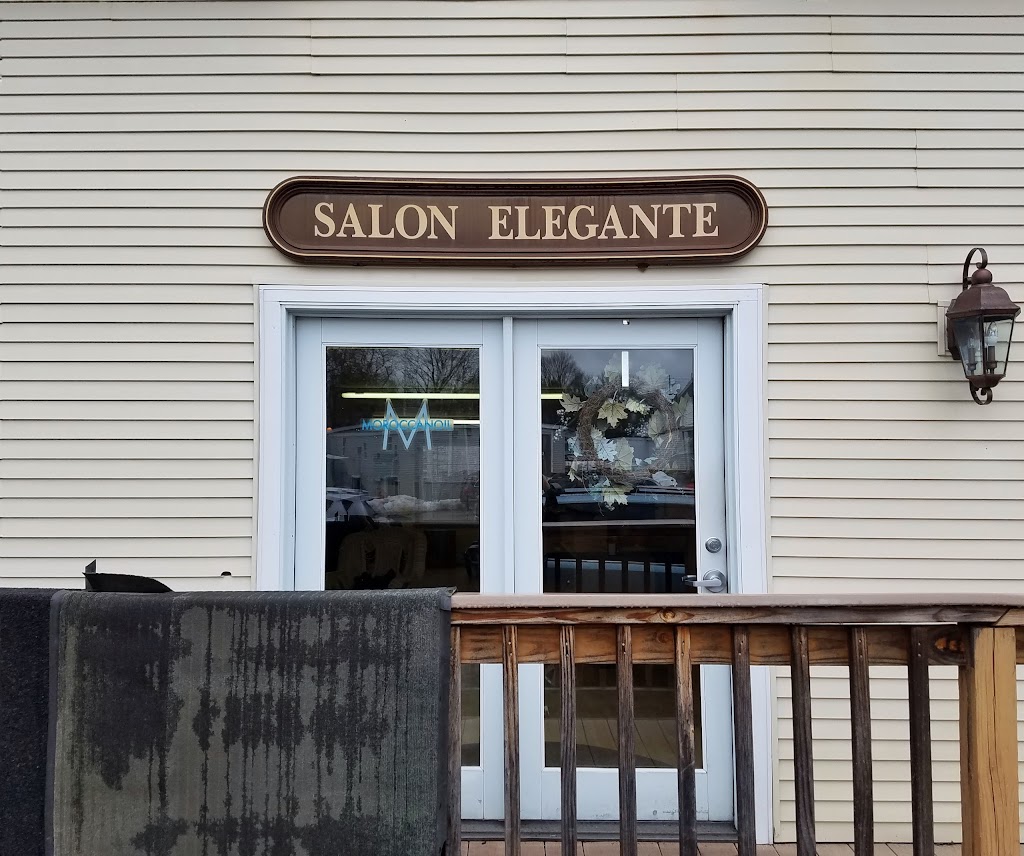 Salon Elegante 01730