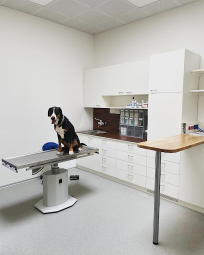 Viechdoktorei - Tierarztpraxis Leithaprodersdorf