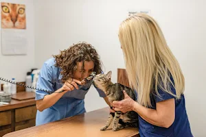 Crittenden County Animal Clinic image