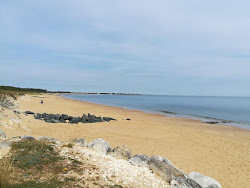 Plage de La Gautrelle'in fotoğrafı vahşi alan
