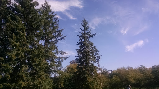 Golf Course «Snohomish Golf Course», reviews and photos, 7805 147th Ave SE, Snohomish, WA 98290, USA