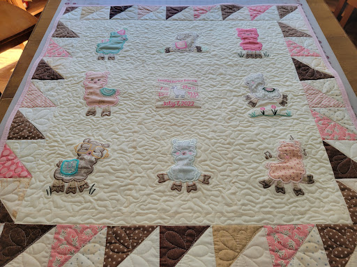 Sewing Company «Creative Sewing Center», reviews and photos, 11777 West Ave, San Antonio, TX 78216, USA