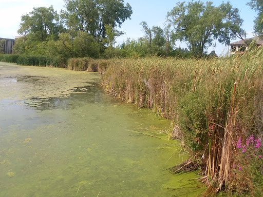 Nature Preserve «Westwood Hills Nature Center», reviews and photos, 8300 W Franklin Ave, St Louis Park, MN 55426, USA