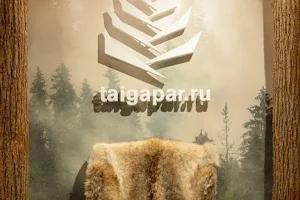 ТайгаПар | Банный клуб Выставочная | Общественная баня, сауна, массаж image